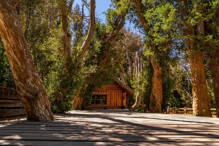 PARQUE NACIONAL LOS ARRAYANES: GUÍA COMPLETA